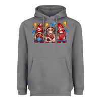 Storm football gnome with element Heavyweight Hoodie - texasbilliewilder