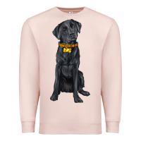 Pale Pink labrador retriever with overflow Premium Sweatshirt - texasbilliewilder