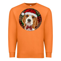 Carrot beagle christmas ornament Premium Sweatshirt - RanaPortraitStore