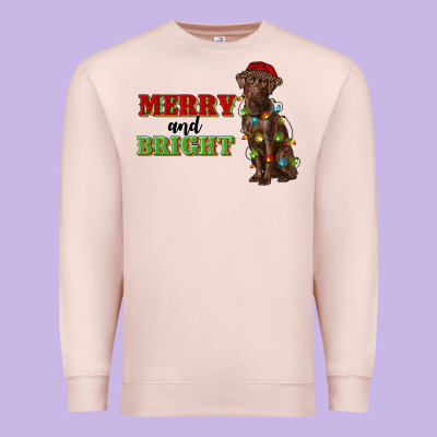 Merry And Bright Labrador Premium Sweatshirt Designed By Ranaportraitstore