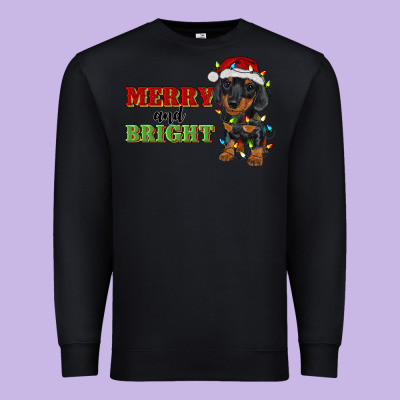 Merry And Bright Dachshund Premium Sweatshirt Designed By Ranaportraitstore