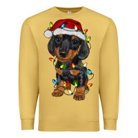 Antique Gold dachshund puppy christmas lights Premium Sweatshirt - RanaPortraitStore