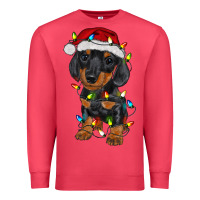 Cardinal dachshund puppy christmas lights Premium Sweatshirt - RanaPortraitStore