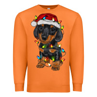 Carrot dachshund puppy christmas lights Premium Sweatshirt - RanaPortraitStore