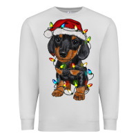 Dove Grey dachshund puppy christmas lights Premium Sweatshirt - RanaPortraitStore