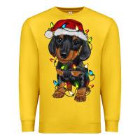 Lemon dachshund puppy christmas lights Premium Sweatshirt - RanaPortraitStore