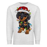 Oatmeal Heather dachshund puppy christmas lights Premium Sweatshirt - RanaPortraitStore