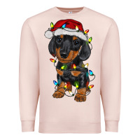 Pale Pink dachshund puppy christmas lights Premium Sweatshirt - RanaPortraitStore