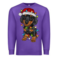 Purple dachshund puppy christmas lights Premium Sweatshirt - RanaPortraitStore