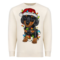 Sandshell dachshund puppy christmas lights Premium Sweatshirt - RanaPortraitStore