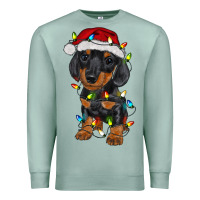 Seafoam dachshund puppy christmas lights Premium Sweatshirt - RanaPortraitStore