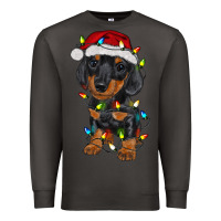 Smoke dachshund puppy christmas lights Premium Sweatshirt - RanaPortraitStore