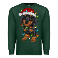 Sports Green dachshund puppy christmas lights Premium Sweatshirt - RanaPortraitStore