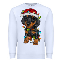 Dachshund Puppy Christmas Lights Premium Sweatshirt | Teevron