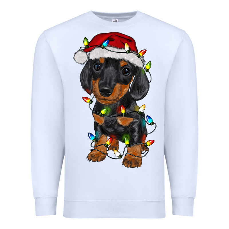 Dachshund Puppy Christmas Lights Premium Sweatshirt by RanaPortraitStore | Teevron