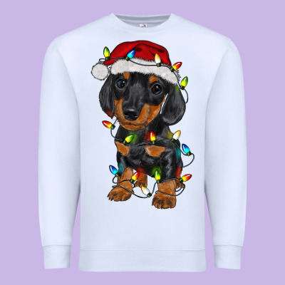 Dachshund Puppy Christmas Lights Premium Sweatshirt Designed By Ranaportraitstore