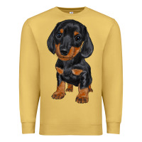 Antique Gold dachshund puppy Premium Sweatshirt - RanaPortraitStore