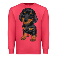 Cardinal dachshund puppy Premium Sweatshirt - RanaPortraitStore