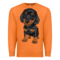 Carrot dachshund puppy Premium Sweatshirt - RanaPortraitStore