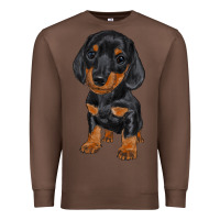 Chestnut dachshund puppy Premium Sweatshirt - RanaPortraitStore