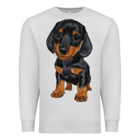 Dove Grey dachshund puppy Premium Sweatshirt - RanaPortraitStore