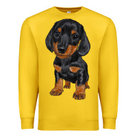 Lemon dachshund puppy Premium Sweatshirt - RanaPortraitStore