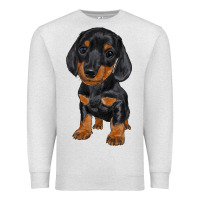 Oatmeal Heather dachshund puppy Premium Sweatshirt - RanaPortraitStore