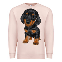 Dachshund Puppy Premium Sweatshirt | Teevron