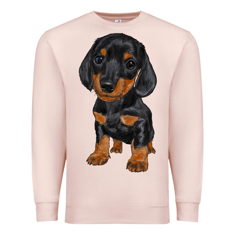 Dachshund Puppy Premium Sweatshirt by RanaPortraitStore | Teevron