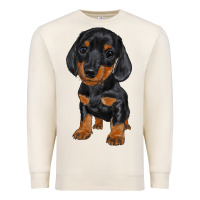 Sandshell dachshund puppy Premium Sweatshirt - RanaPortraitStore