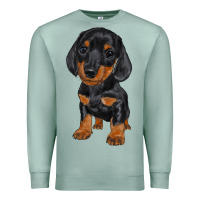 Seafoam dachshund puppy Premium Sweatshirt - RanaPortraitStore