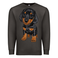 Smoke dachshund puppy Premium Sweatshirt - RanaPortraitStore