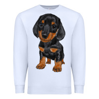 White dachshund puppy Premium Sweatshirt - RanaPortraitStore