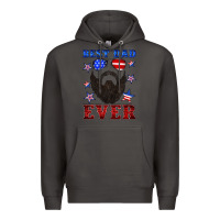 Smoke best dad ever american flag Premium Hoodie - Artiststas