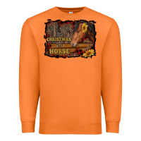 Carrot all i want for christmas is a horse brown horse Premium Sweatshirt - RanaPortraitStore
