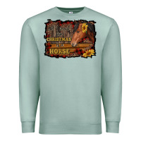 Seafoam all i want for christmas is a horse brown horse Premium Sweatshirt - RanaPortraitStore