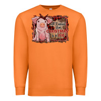 Carrot all i want for christmas is a pig sitting pig Premium Sweatshirt - RanaPortraitStore