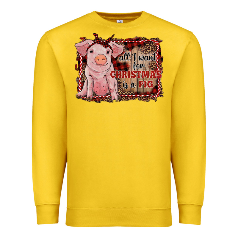 All I Want For Christmas Is A Pig Sitting Pig Premium Sweatshirt by RanaPortraitStore | Teevron