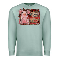 Seafoam all i want for christmas is a pig sitting pig Premium Sweatshirt - RanaPortraitStore