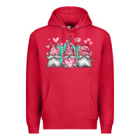 Cardinal valentines day gnomes Premium Hoodie - Jasminsmagicworld