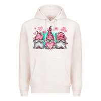 Pale Pink valentines day gnomes Premium Hoodie - Jasminsmagicworld