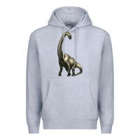 Heather Grey brachiosaurus Premium Hoodie - Artiststas