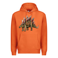 Carrot dinosaur stegosaurus Premium Hoodie - Artiststas