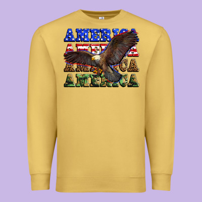 America America America America Premium Sweatshirt Designed By Zillion Design Studio