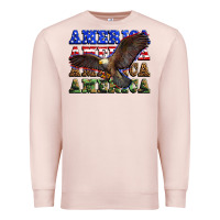 Pale Pink america america america america Premium Sweatshirt - Zillion Design Studio
