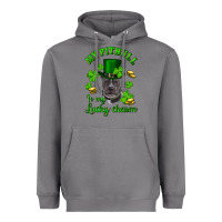 Storm St. Patrick's Day My Pitbull Is My Lucky Charm With Hat Heavyweight Hoodie - RanaPortraitStore