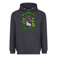 Smoke St. Patrick's Day My Pitbull Is My Lucky Charm Heavyweight Hoodie - RanaPortraitStore