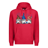 Cardinal 4th of july gnomes Premium Hoodie - Jasminsmagicworld