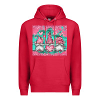Cardinal valentines day gnomes Premium Hoodie - Jasminsmagicworld
