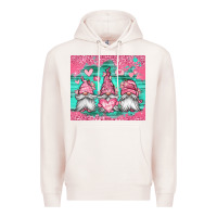 Pale Pink valentines day gnomes Premium Hoodie - Jasminsmagicworld
